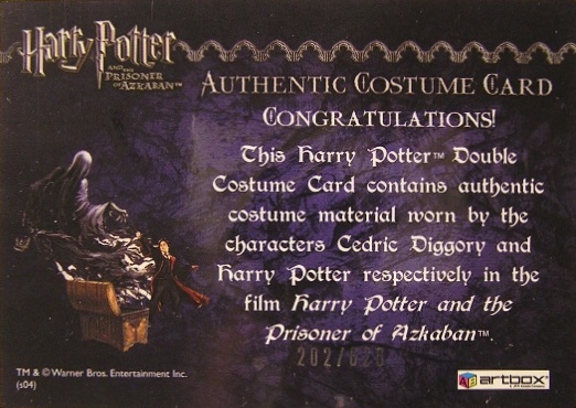 Cedric Diggory  Harry Potter Quidditch Robes - Back