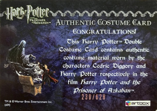 Cedric Diggory  Harry Potter Quidditch Robes - Back