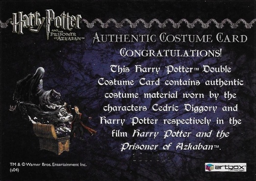 Cedric Diggory  Harry Potter Quidditch Robes - Back