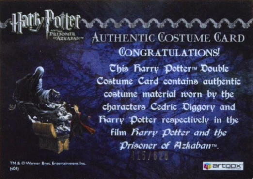 Cedric Diggory  Harry Potter Quidditch Robes - Back