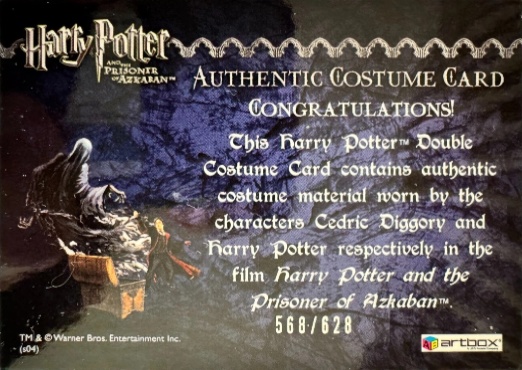 Cedric Diggory  Harry Potter Quidditch Robes - Back