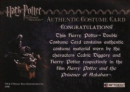 Cedric Diggory  Harry Potter Quidditch Robes - Back