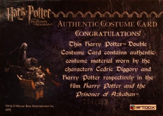 Cedric Diggory  Harry Potter Quidditch Robes - Back