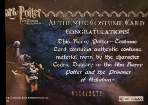 Cedric Diggory's Quidditch Robe - Back