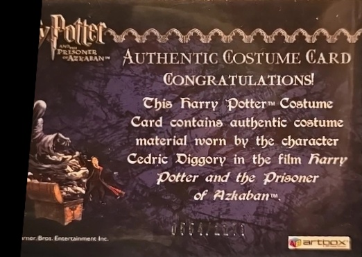 Cedric Diggory's Quidditch Robe - Back