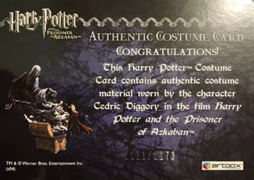 Cedric Diggory's Quidditch Robe - Back