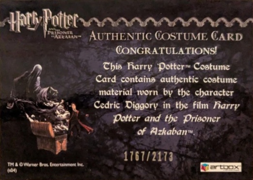 Cedric Diggory's Quidditch Robe - Back