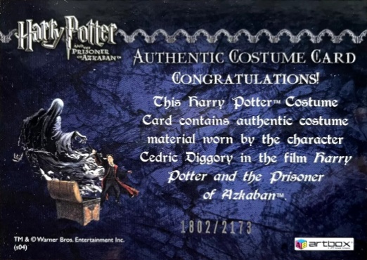 Cedric Diggory's Quidditch Robe - Back