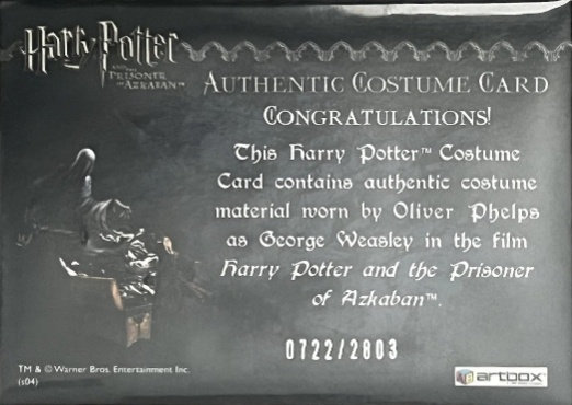 George Weasley's Quidditch Costume - Back