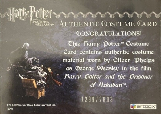 George Weasley's Quidditch Costume - Back