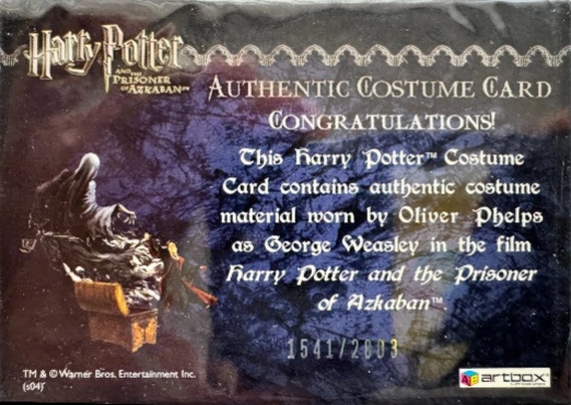 George Weasley's Quidditch Costume - Back