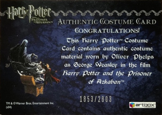 George Weasley's Quidditch Costume - Back