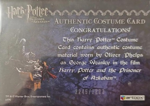 George Weasley's Quidditch Costume - Back