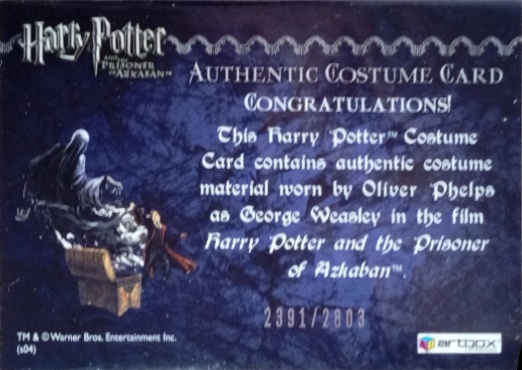 George Weasley's Quidditch Costume - Back