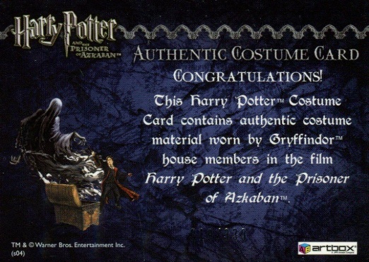 Gryffindor House Tie - Back