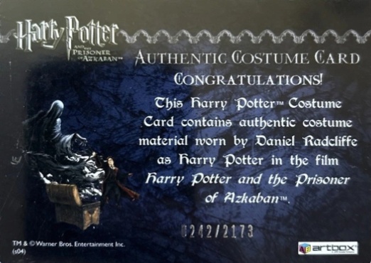 Harry Potter's Quidditch Costume - Back