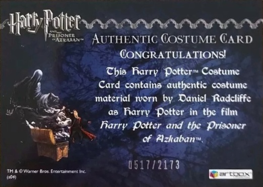 Harry Potter's Quidditch Costume - Back