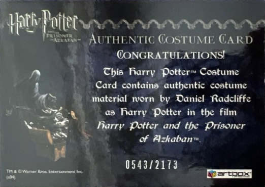 Harry Potter's Quidditch Costume - Back