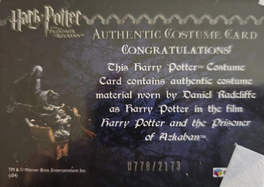 Harry Potter's Quidditch Costume - Back