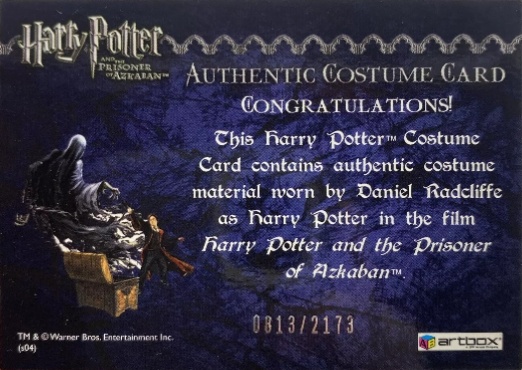 Harry Potter's Quidditch Costume - Back