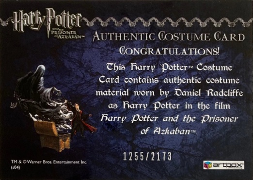 Harry Potter's Quidditch Costume - Back