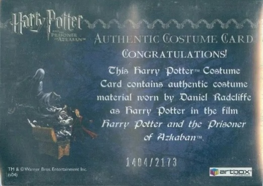 Harry Potter's Quidditch Costume - Back