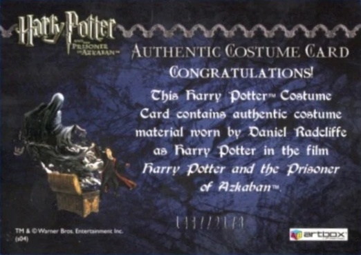 Harry Potter's Quidditch Costume - Back