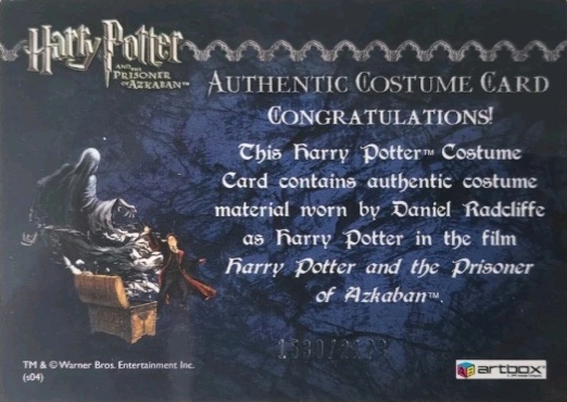 Harry Potter's Quidditch Costume - Back