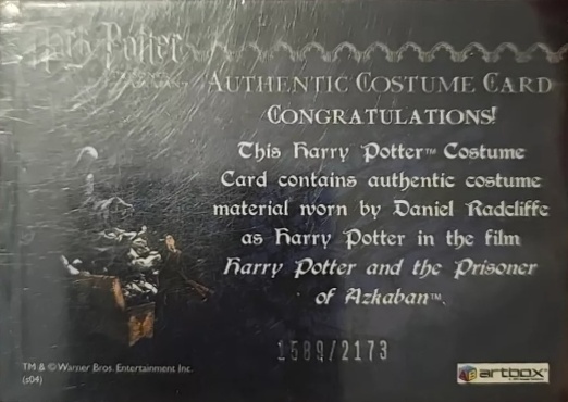 Harry Potter's Quidditch Costume - Back