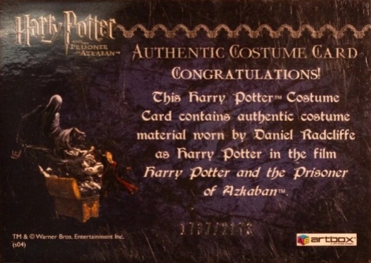 Harry Potter's Quidditch Costume - Back