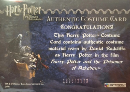 Harry Potter's Quidditch Costume - Back