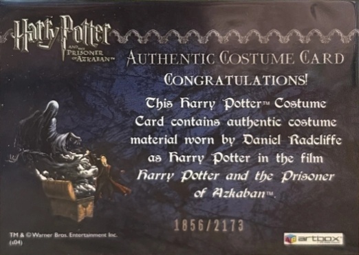 Harry Potter's Quidditch Costume - Back