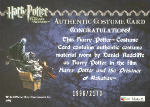 Harry Potter's Quidditch Costume - Back