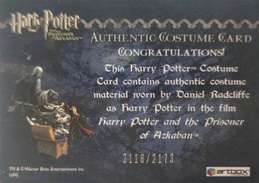 Harry Potter's Quidditch Costume - Back