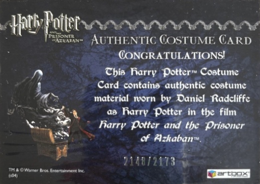 Harry Potter's Quidditch Costume - Back