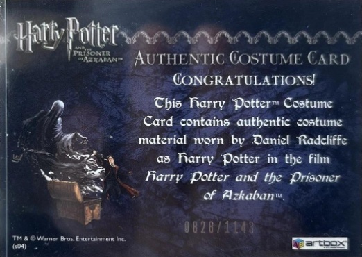 Harry Potter's Quidditch Robe - Back