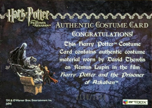 Harry Potter's Quidditch Robe - Back