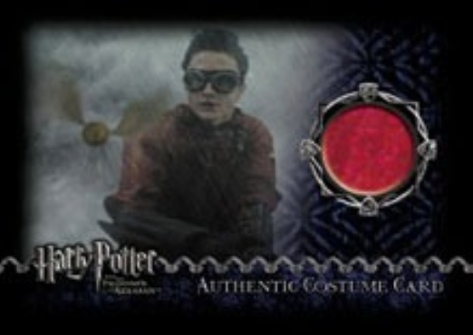 Harry Potter's Quidditch Robe - Front