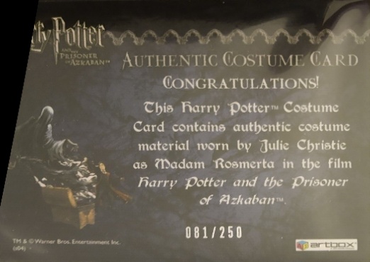 Madame Rosmerta's Brown Top - Back