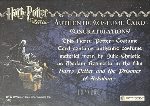 Madame Rosmerta's Brown Top - Back