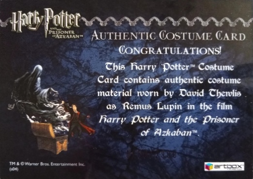 Remus Lupin's Jacket - Back