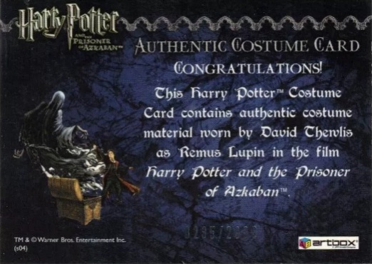 Remus Lupin's Jacket - Back