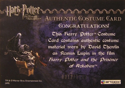 Remus Lupin's Jacket - Back