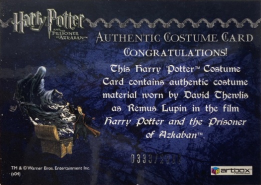 Remus Lupin's Jacket - Back