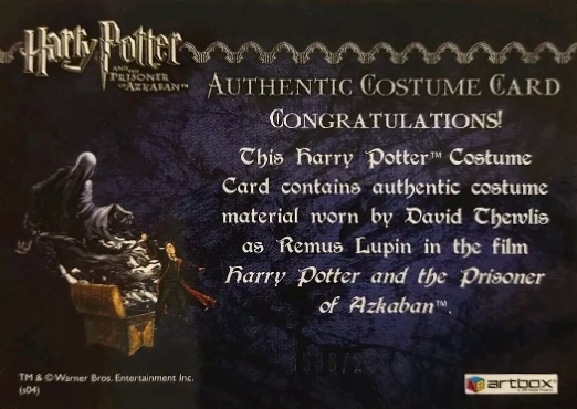 Remus Lupin's Jacket - Back