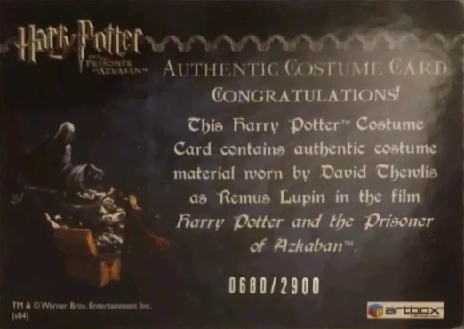 Remus Lupin's Jacket - Back