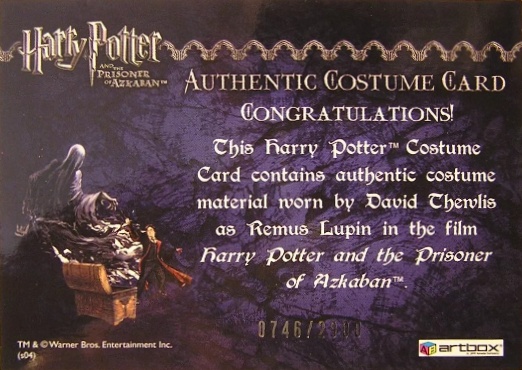 Remus Lupin's Jacket - Back