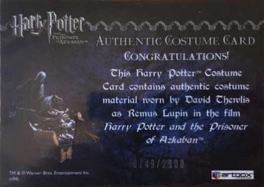 Remus Lupin's Jacket - Back