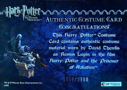 Remus Lupin's Jacket - Back