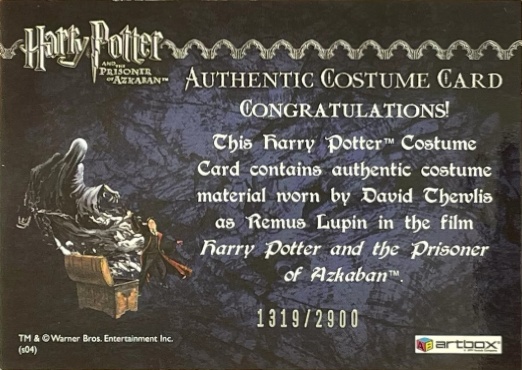 Remus Lupin's Jacket - Back